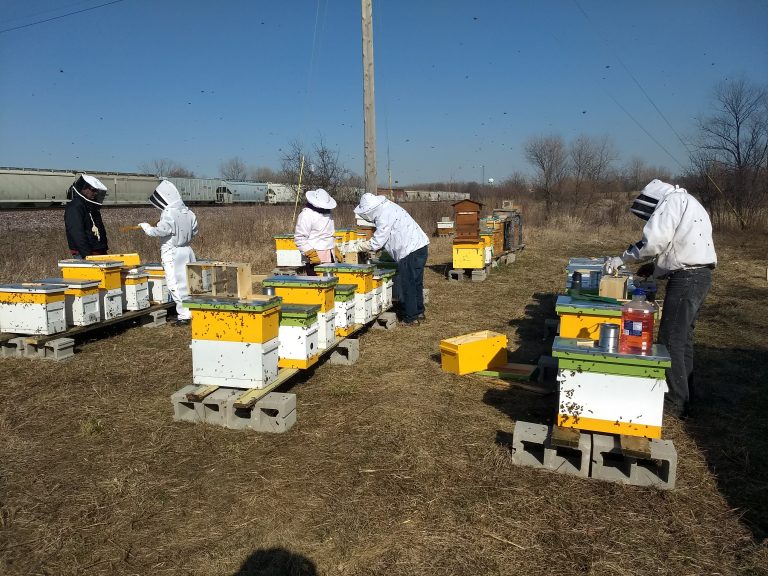 Winter 2024 Beekeeping Class City Bee Savers
